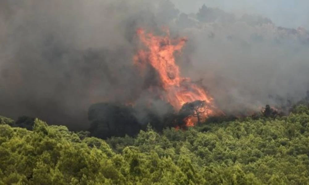 Ποιες περιοχές της χώρας παρουσιάζουν αυξημένο κίνδυνο εκδήλωσης πυρκαγιών